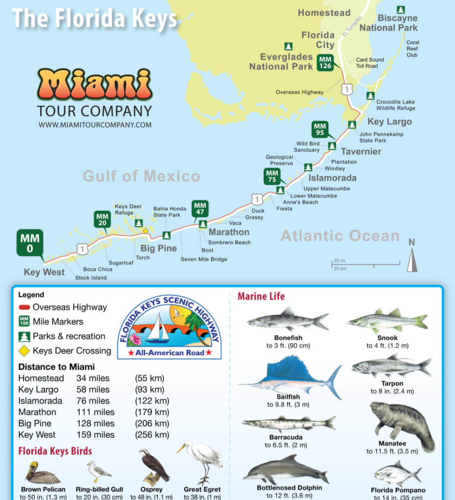 Map Of Florida Keys Key West Bus Tours 0439